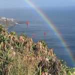 psychologin landschaft 01