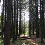 familientherapie landschaft 06