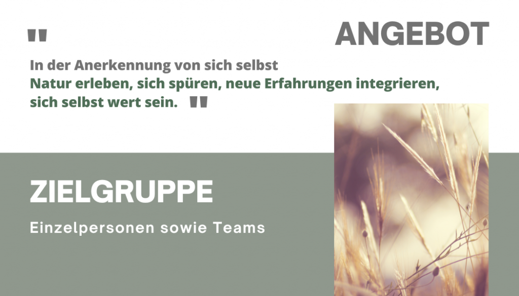 klappvisitenkarte expeditionen_s3